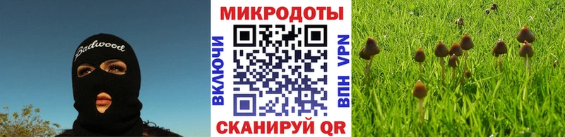 Галлюциногенные грибы мицелий  Купить где  Курлово 